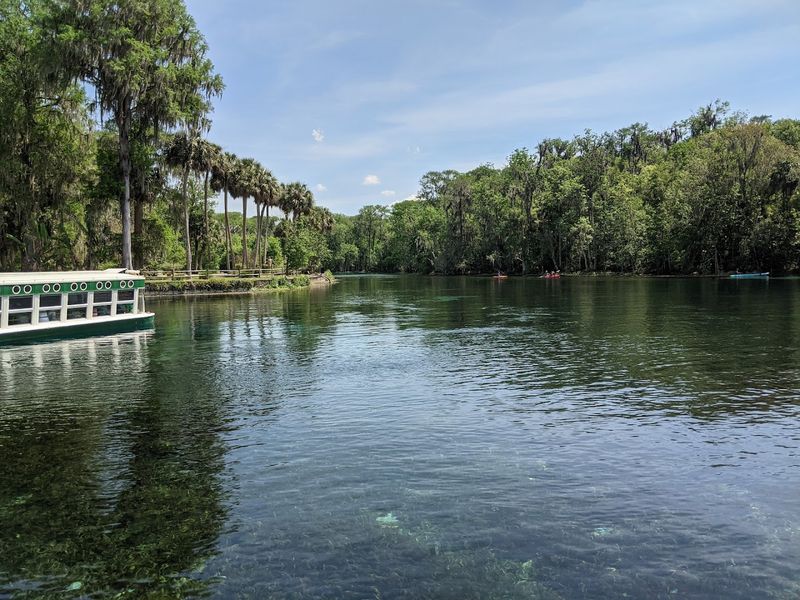 Camping Where Crystal Springs Meet Starry Skies