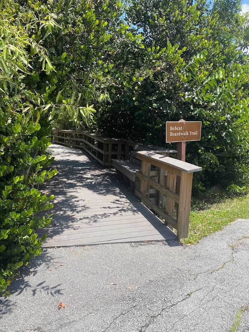 Accessibility And Family Friendly Tips