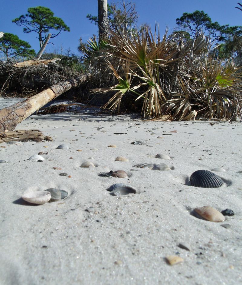 Shelling After a Gentle Gulf