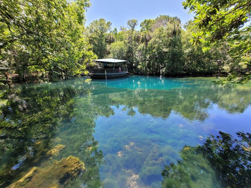 The Enchanting Underwater Observatory In Florida Where You’ll Meet Manatees Face-To-Face