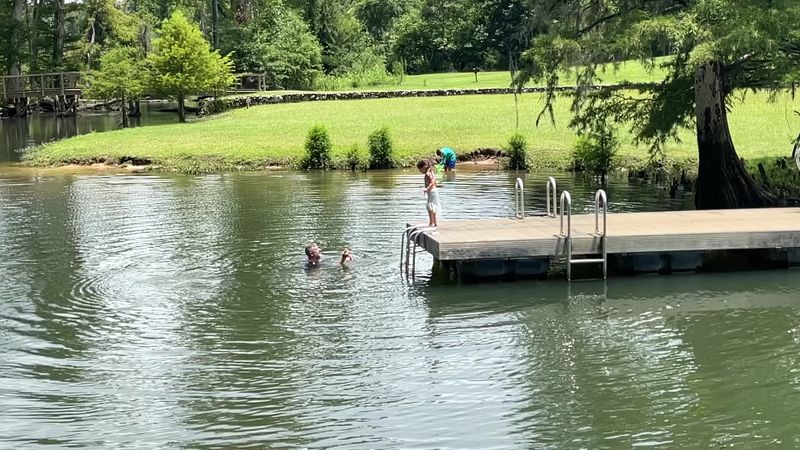 Blue Hole Spring and the Chipola River Will Reset Your Entire Mood