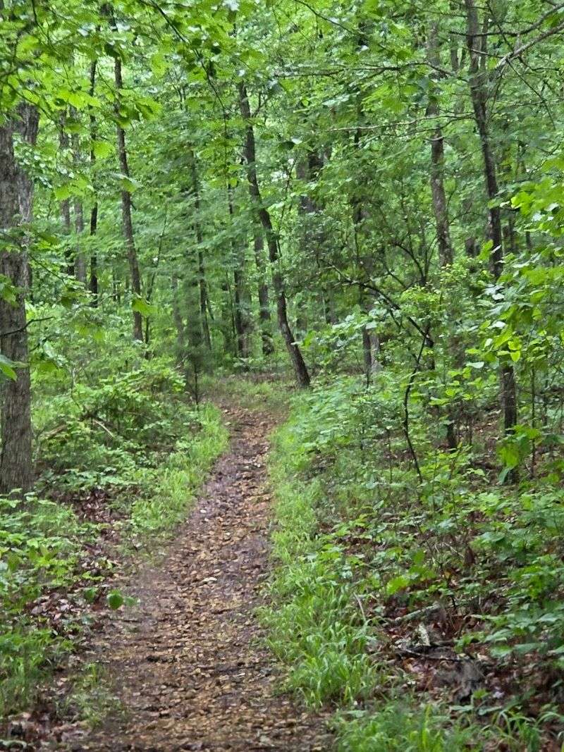 Tennessee's Newest State Park Is Worth the Drive to Hohenwald