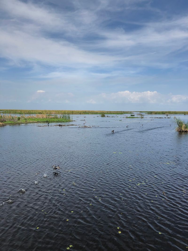 Everglades Restoration Depends on Fixing the Lake