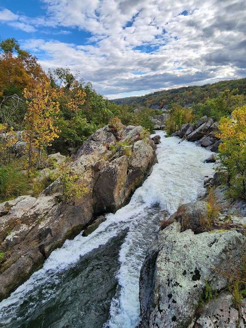 Great Falls Of The Potomac River (Potomac)