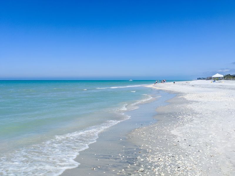 Sea Turtle Nesting Sanctuary
