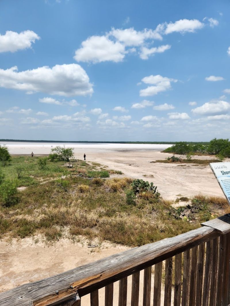 Practical Tips From Seasoned Visitors