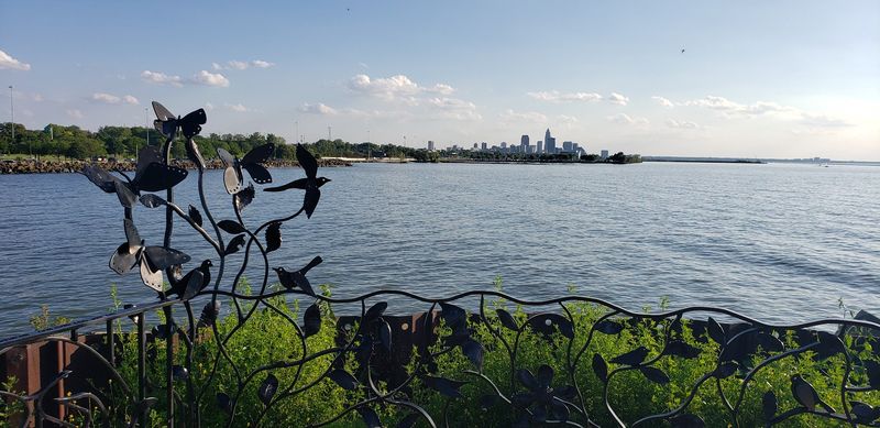 Birding In Peak Migration