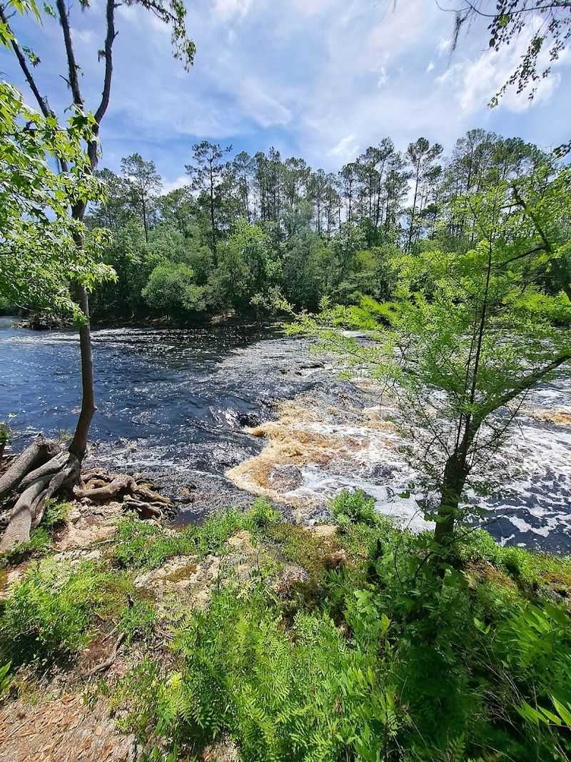 Big Shoals State Park (White Springs)
