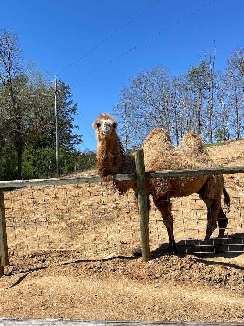 Why This Destination Deserves a Spot on Your Travel List