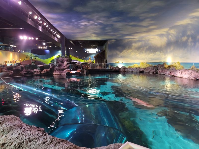 An Underwater World in the Heart of Gatlinburg