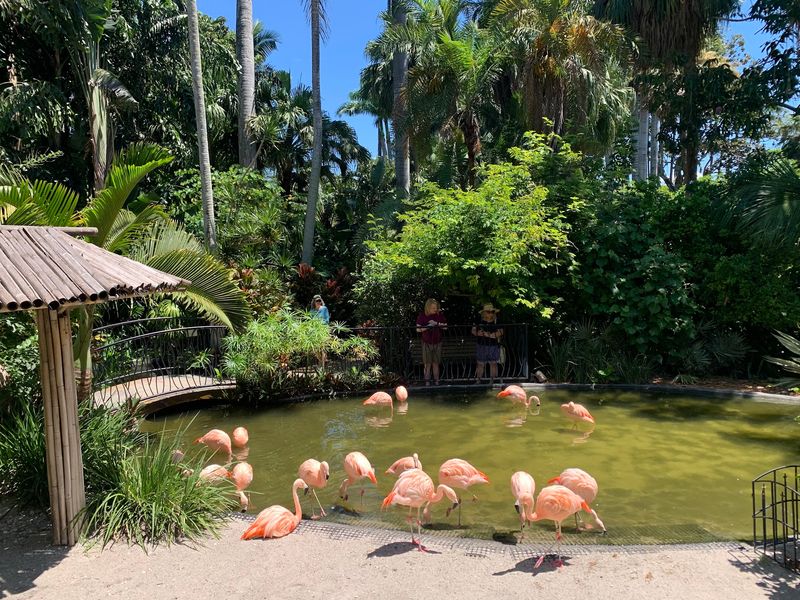 Sunken Gardens (St. Petersburg)