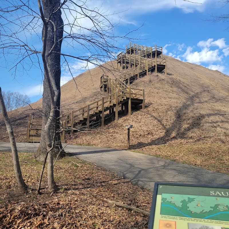 Sauls Mound: The Largest of Them All