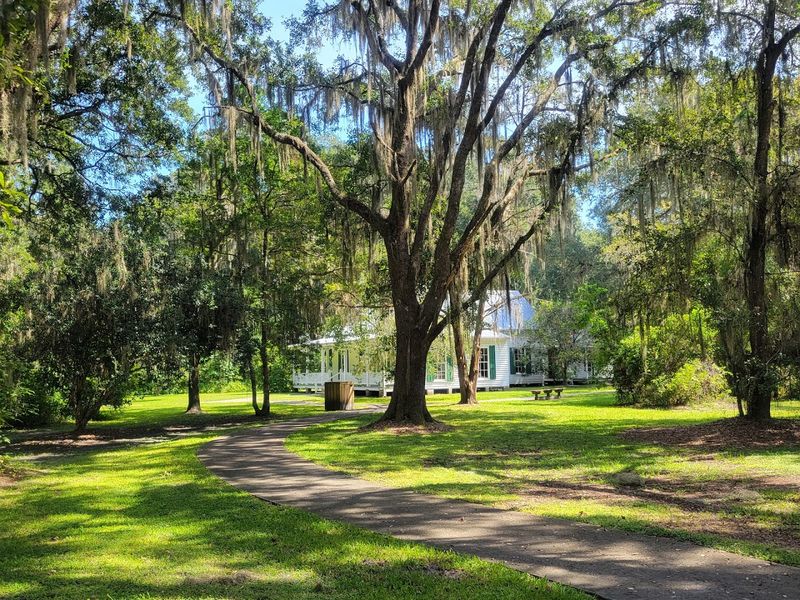 Peaceful Picnic Spots Under Ancient Trees