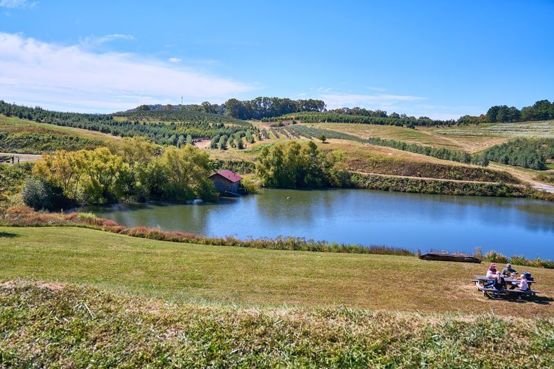 Mercier Orchards (Blue Ridge)
