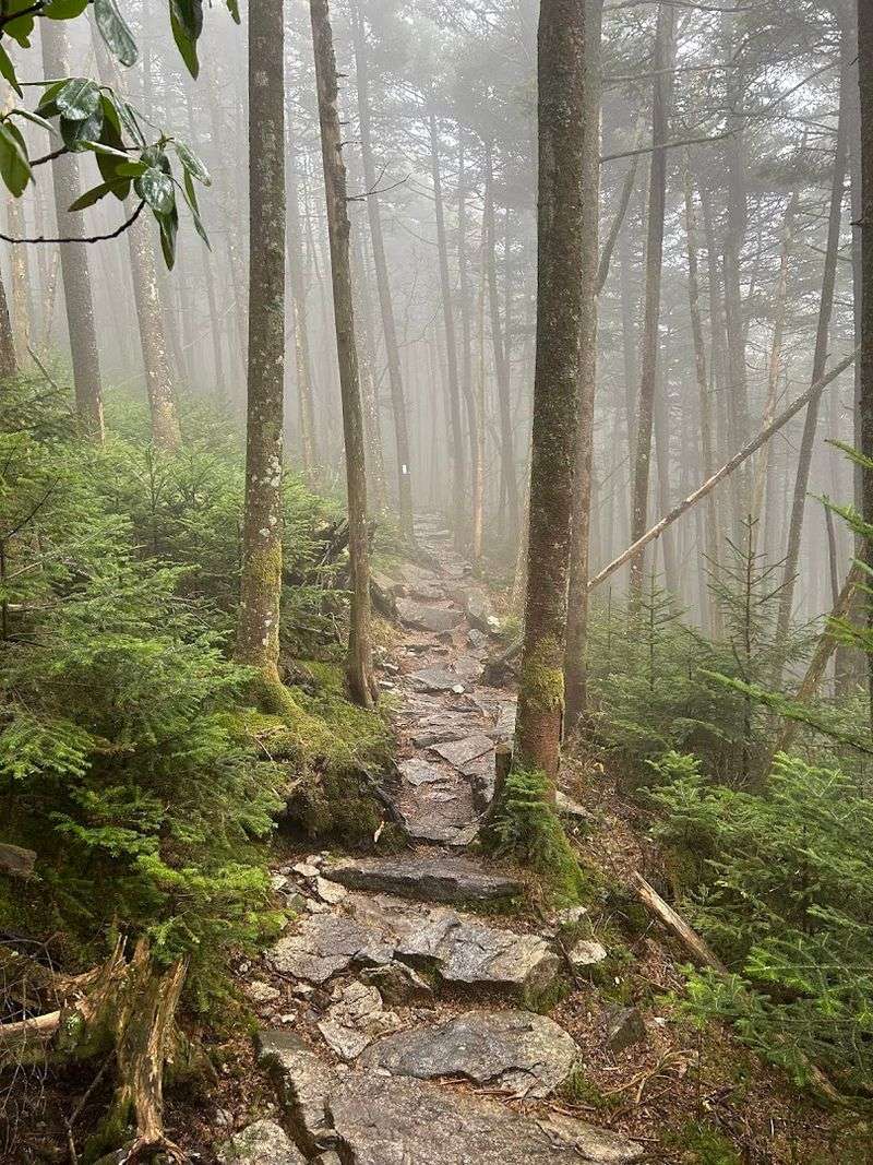 What to Expect on the Hike From Carvers Gap