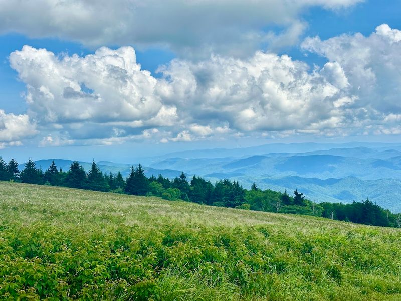 Why Carvers Gap Trailhead Is One of Tennessee's Most Beautiful Scenic Spots