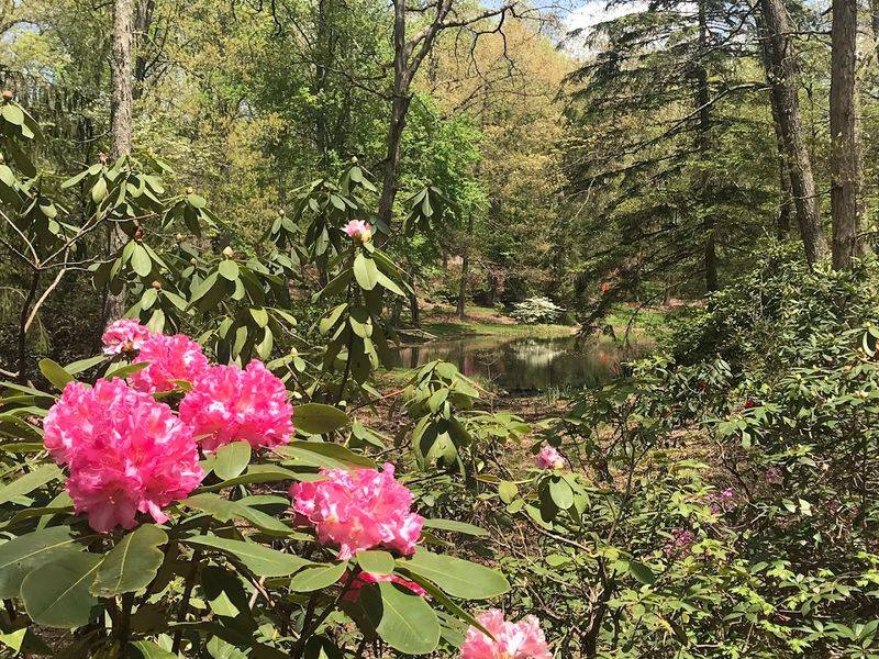 Bill Pinkerton's Bloom-Filled Retreat Feels Like a Secret Escape