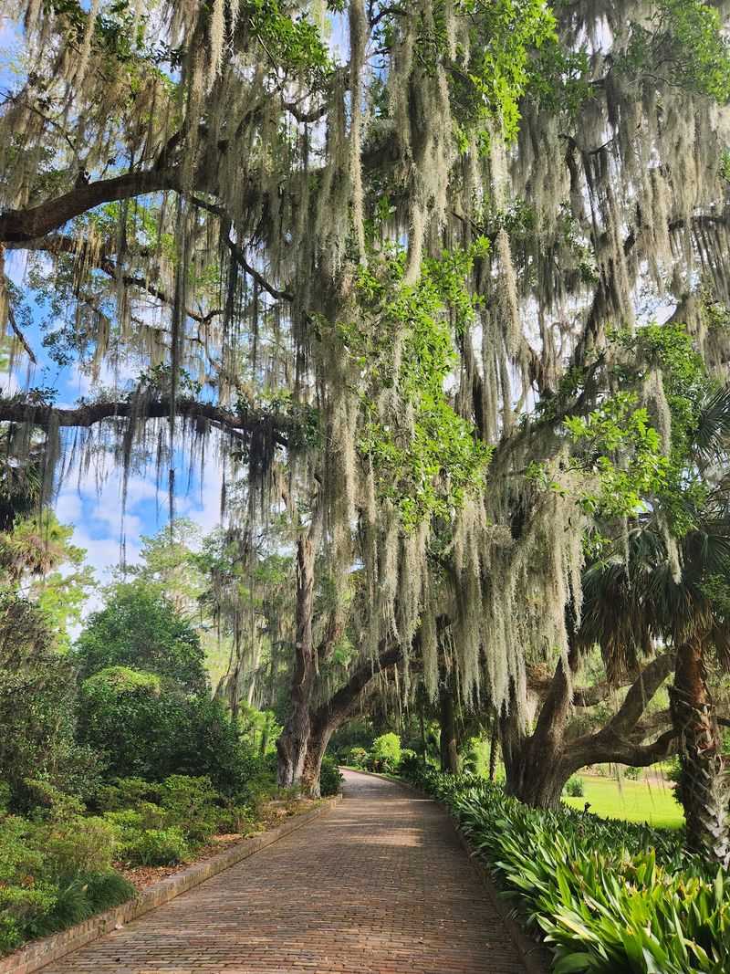 Year-Round Beauty Means Every Visit Offers Something Different