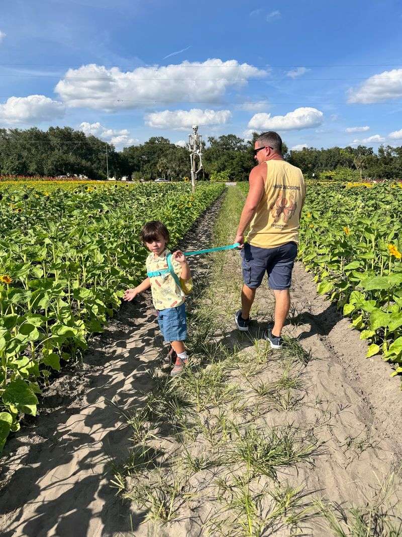 Little Ones Get Their Own Kind Of Fun