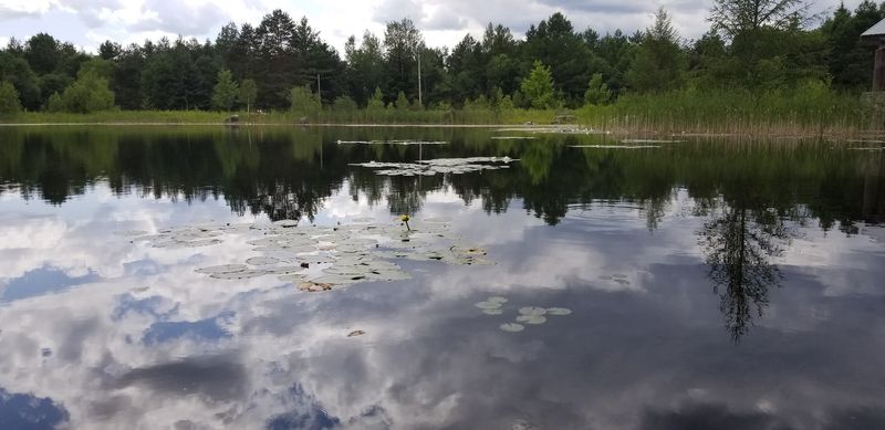 Seek the Hidden Bonus Area