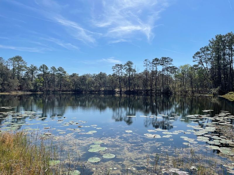 Wildlife And Seasons Around Blue Pond