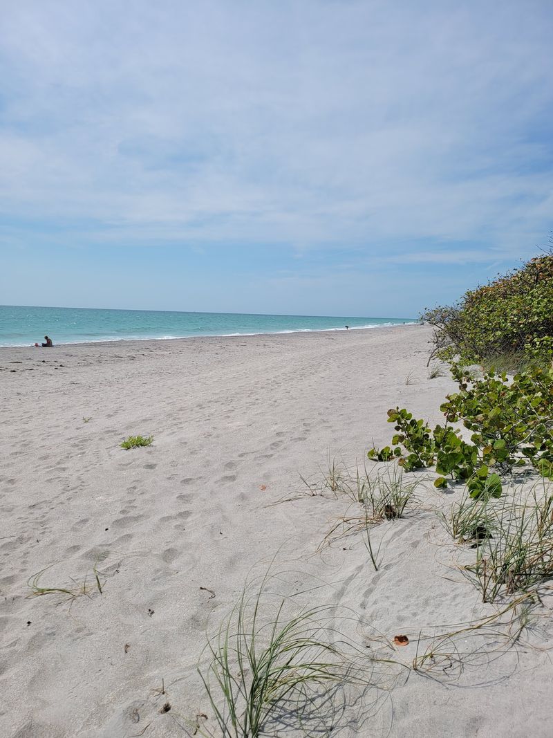 Old Florida Vibes Without the Crowds