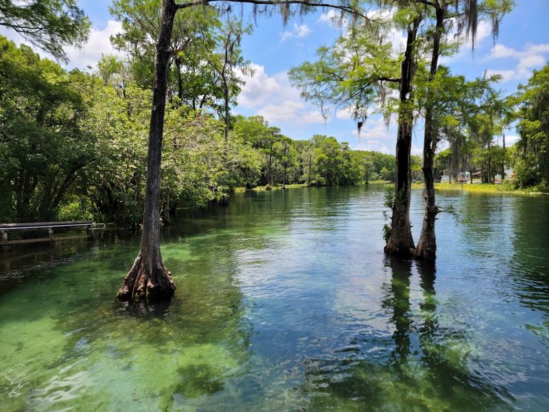Rainbow River (Dunnellon)