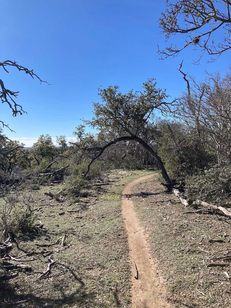 Trail Running Welcome, But Leave the Pups at Home