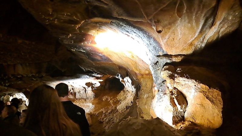 Comfort, Claustrophobia, And Stairs: What To Expect