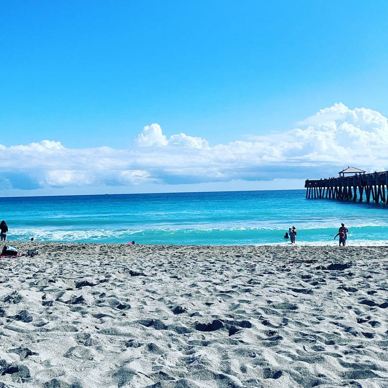 Sea Turtle Nesting Area With Conservation Programs