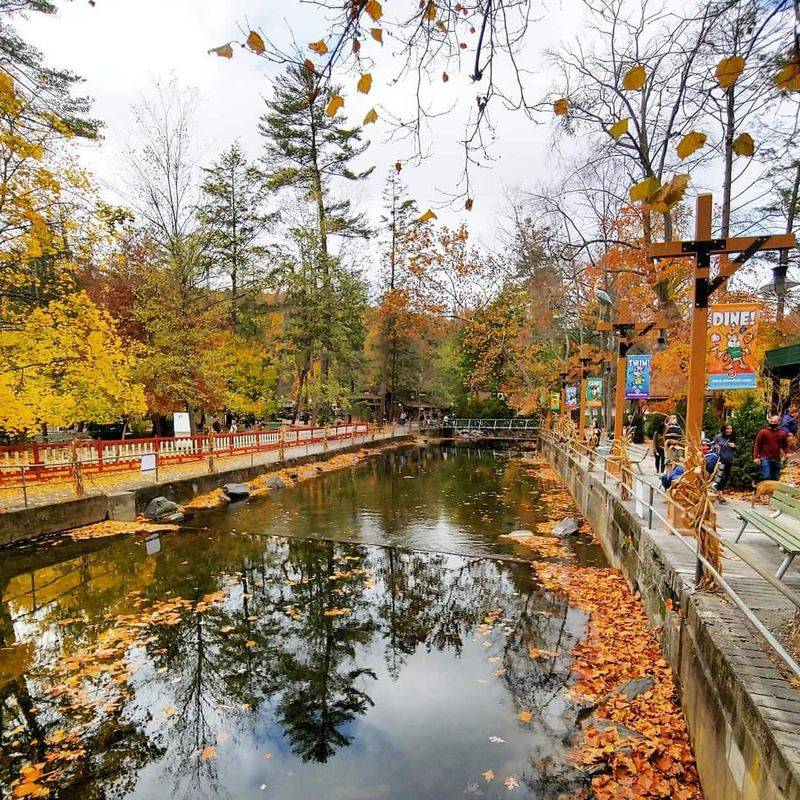 Seasonal events make people come back