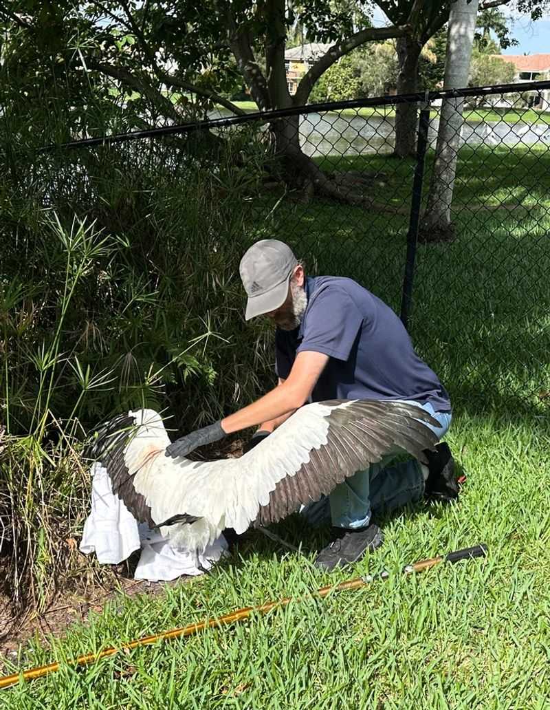 Native Florida Species Are the Heart of the Work
