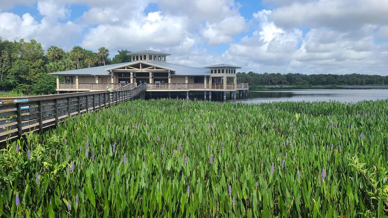 The Nature Center's Hidden Exhibits and Educational Treasures