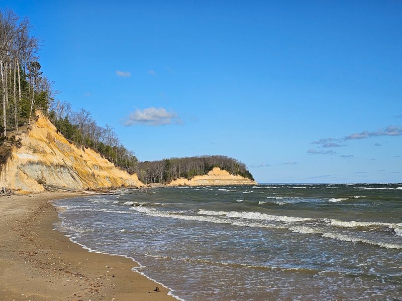 Calvert Cliffs State Park (Lusby)