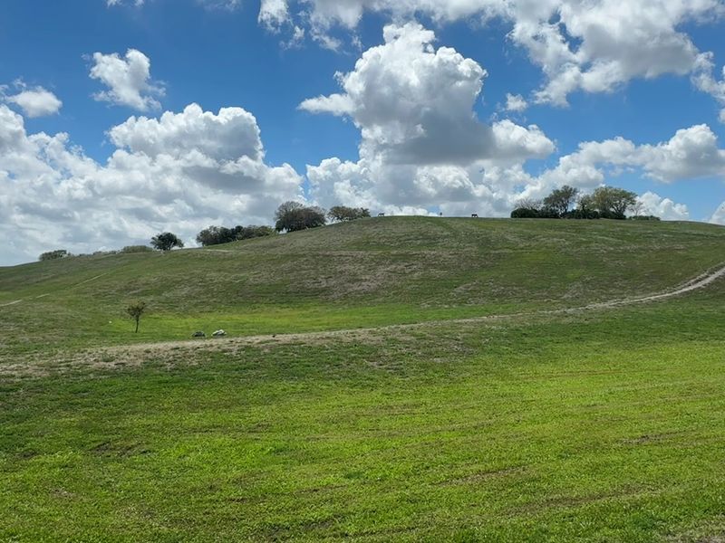Making the Most of Your Vista View Visit