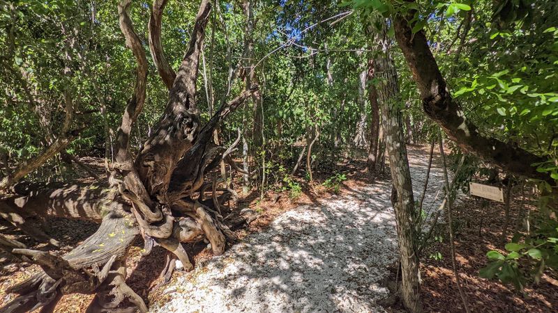 Self-Guided Nature Trails Through Tropical Hammock