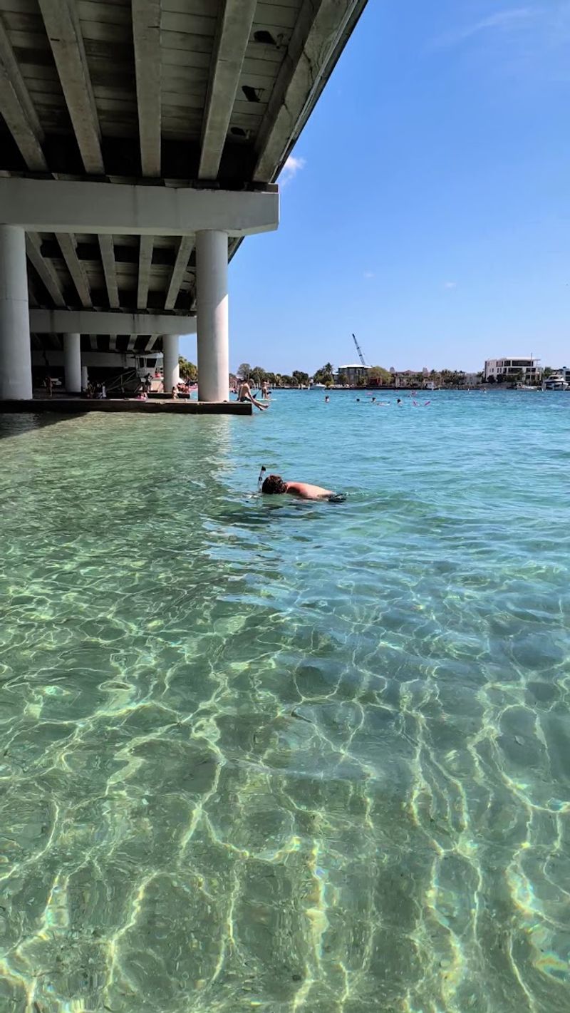 Perfect for Snorkeling Beginners