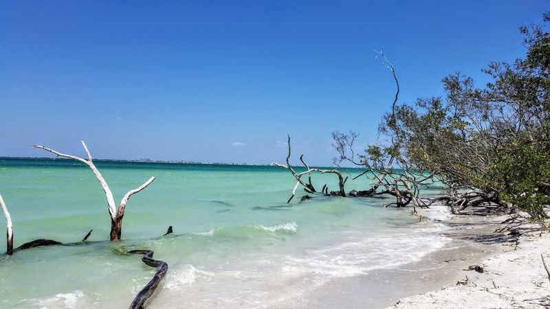 Water Clarity Makes Snorkeling And Swimming Exceptional