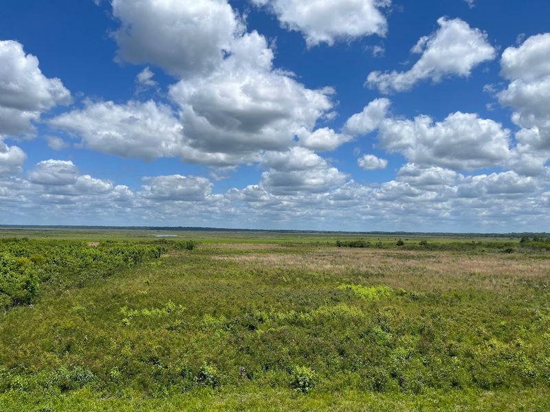 Paynes Prairie Preserve Trails (Gainesville area)