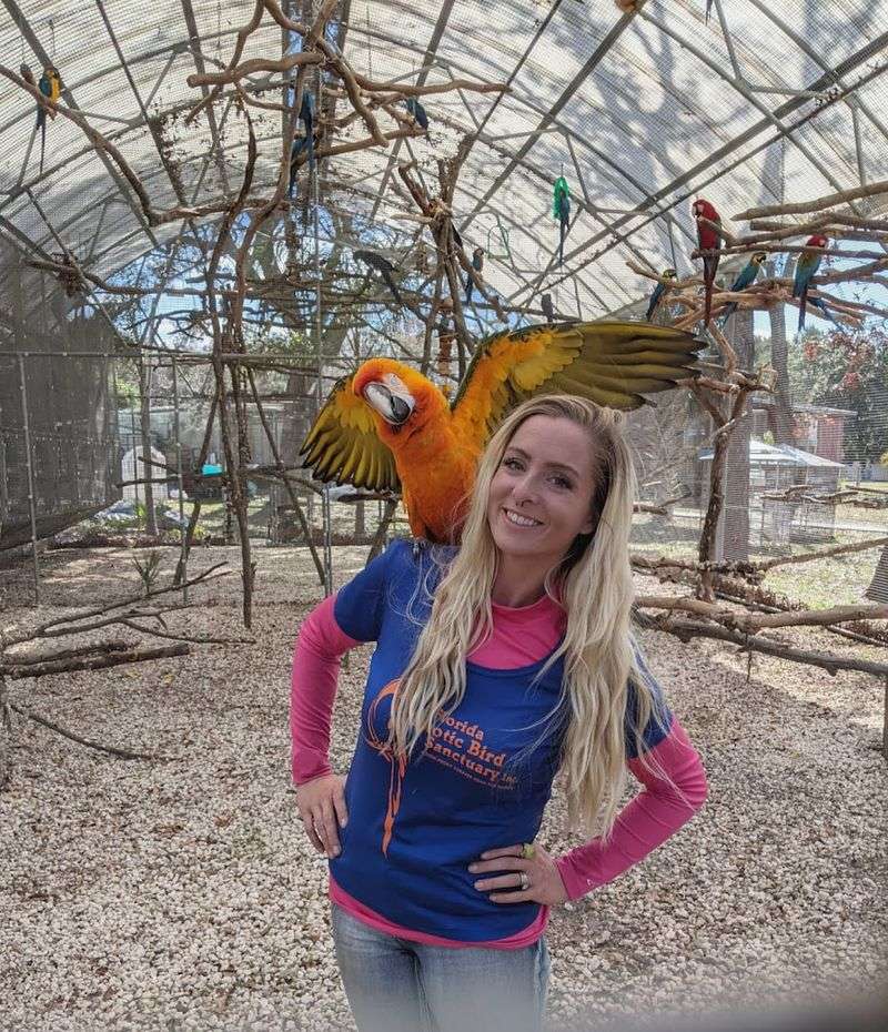The High Flyer Tour Lets You Meet Macaws Up Close