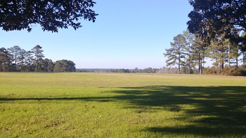 Weather Flexibility And Backup Plans