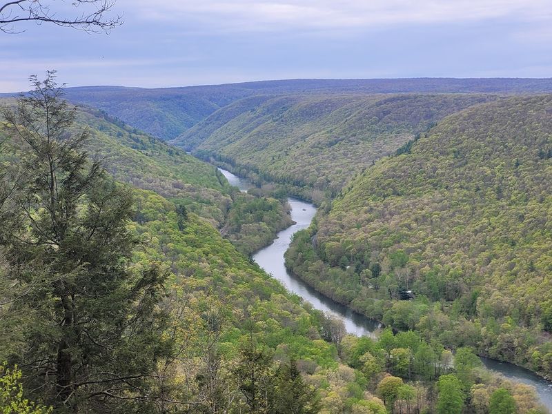 Bucktail State Park Natural Area, Clinton and Cameron Counties, Pennsylvania
