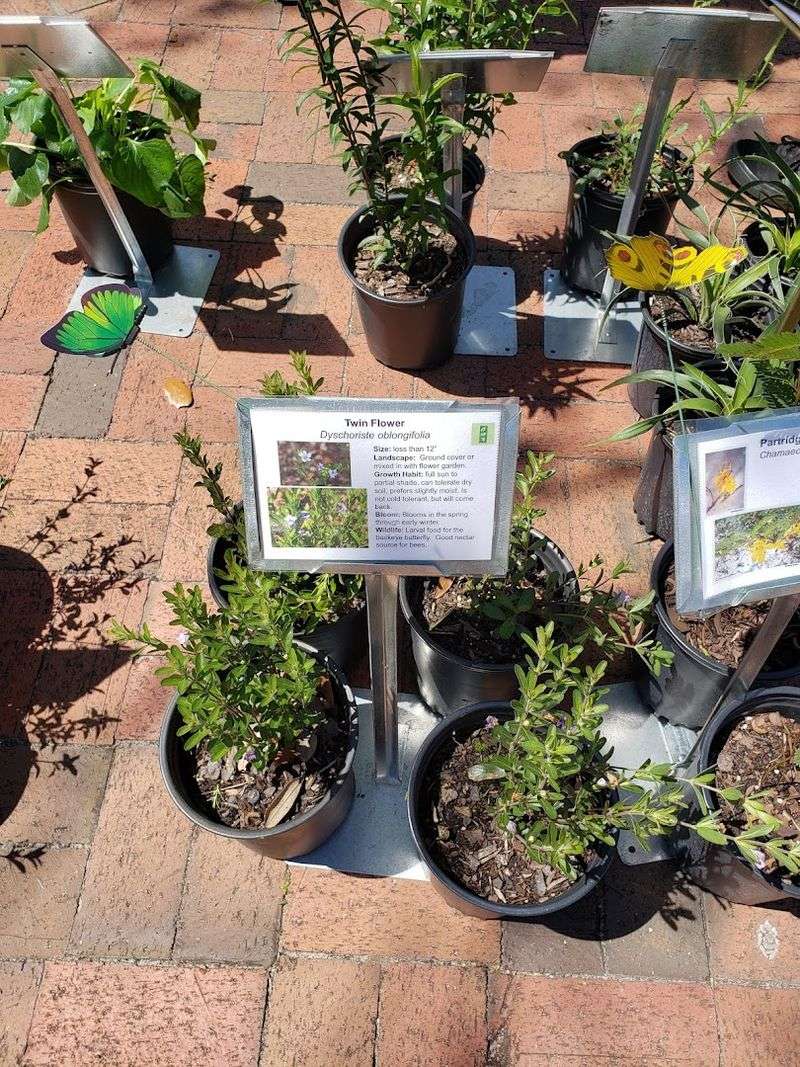 Native Plant Shopping Guide