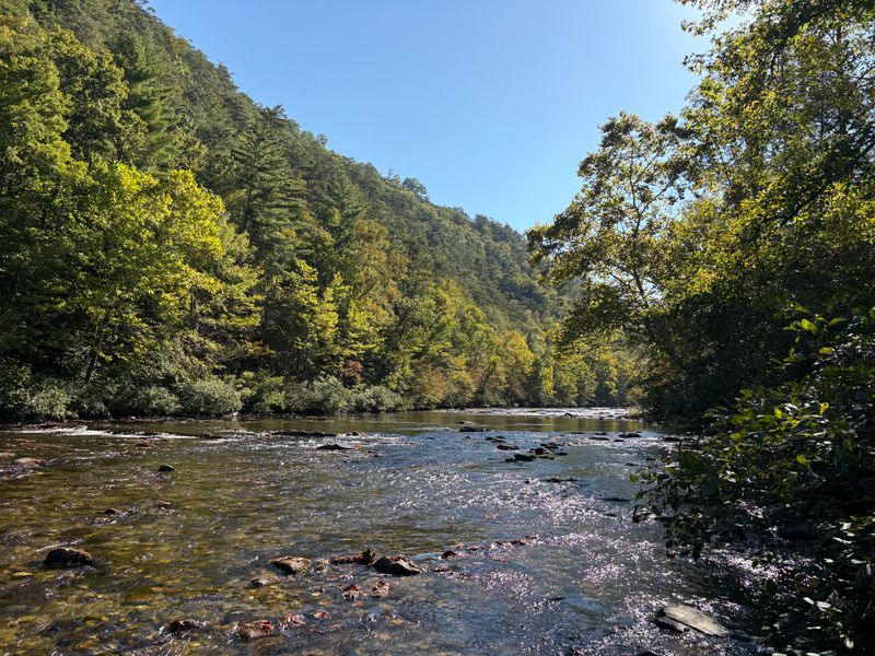 Peaceful River Life on the Tellico