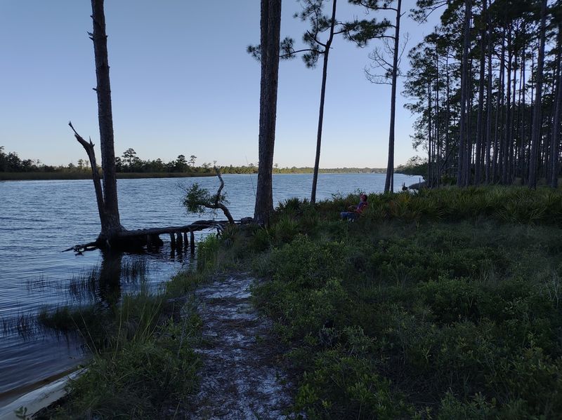 Ochlockonee River State Park (Sopchoppy)