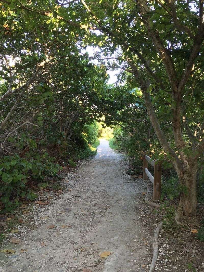The Silver Palm Nature Trail