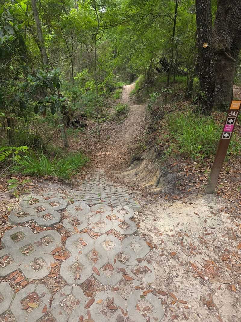 Trail Markers Need a Little Help