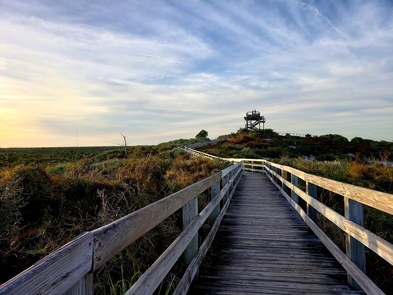 The Observation Tower Offers Views Worth the Climb