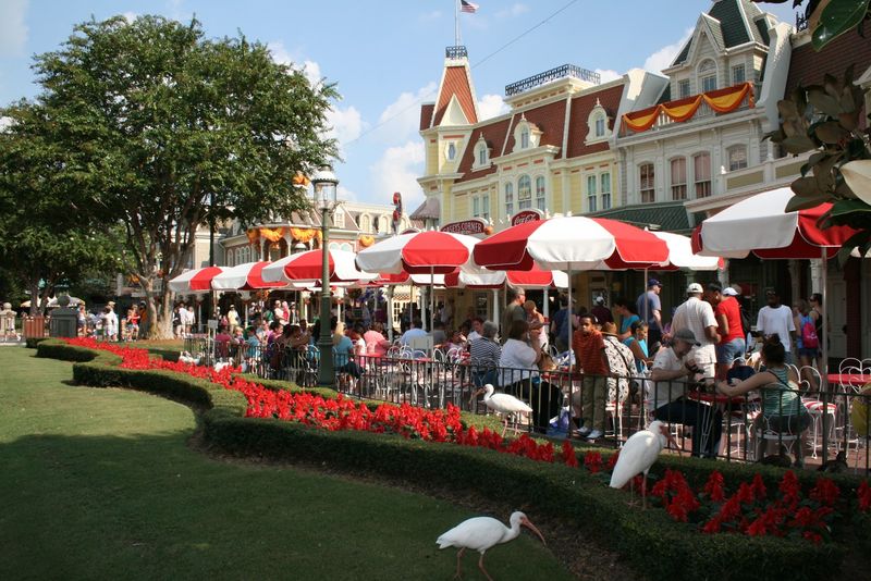 Dining Experiences Kids Actually Enjoy