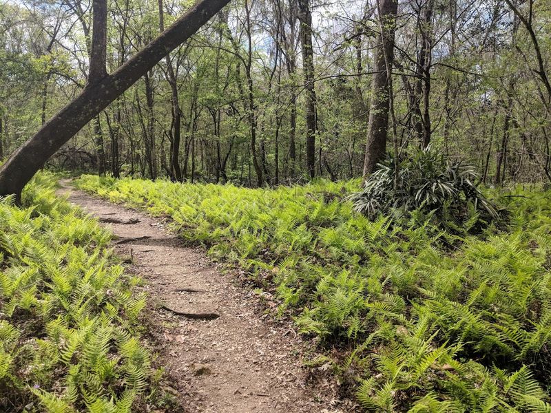 Hiking Trails That Surprise Even Seasoned Outdoor Enthusiasts